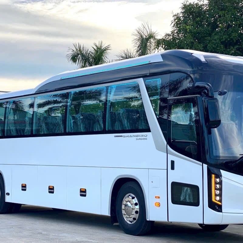 Alternative view of Kia Granbird